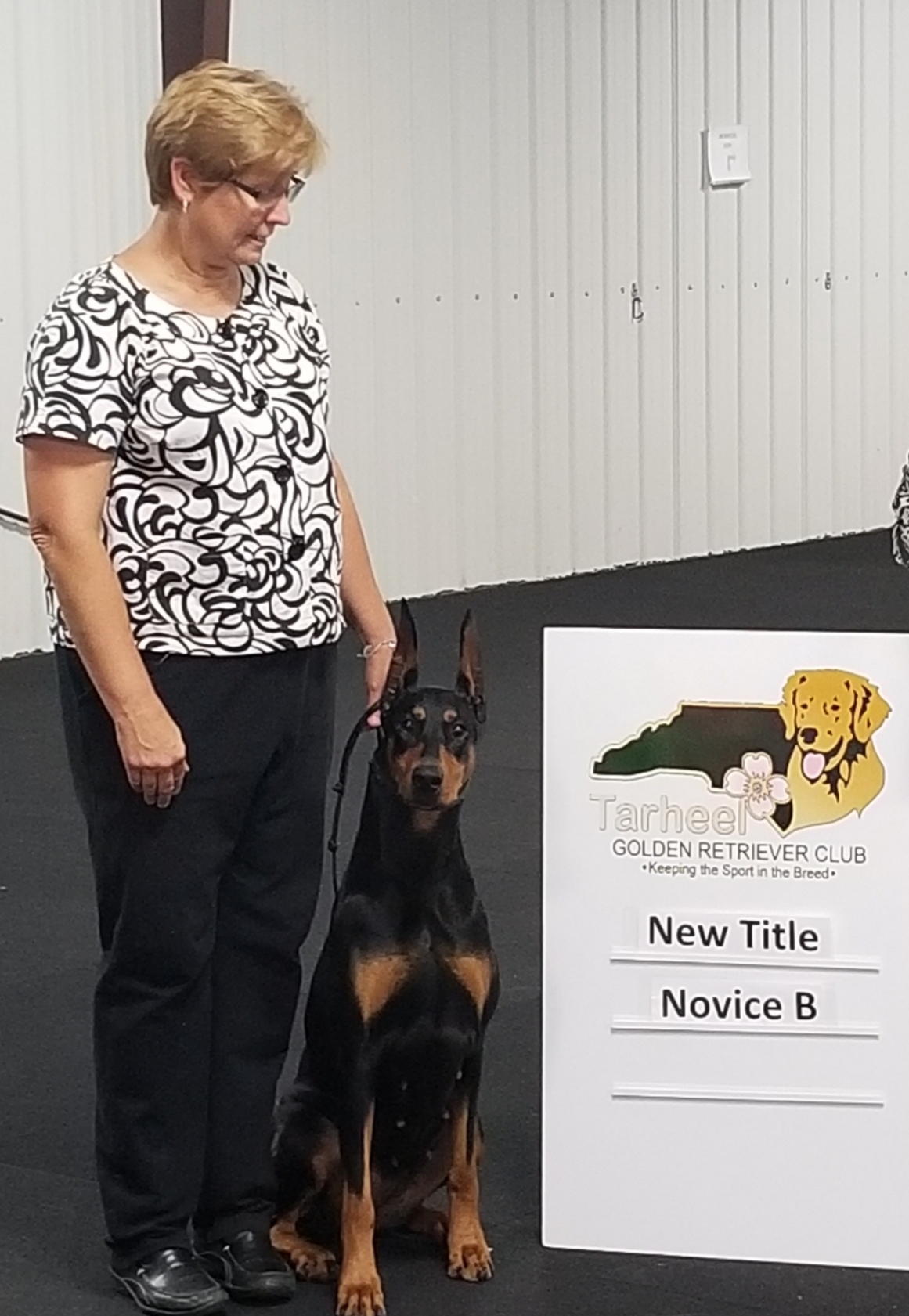 Service Dog Training Greenville Nc