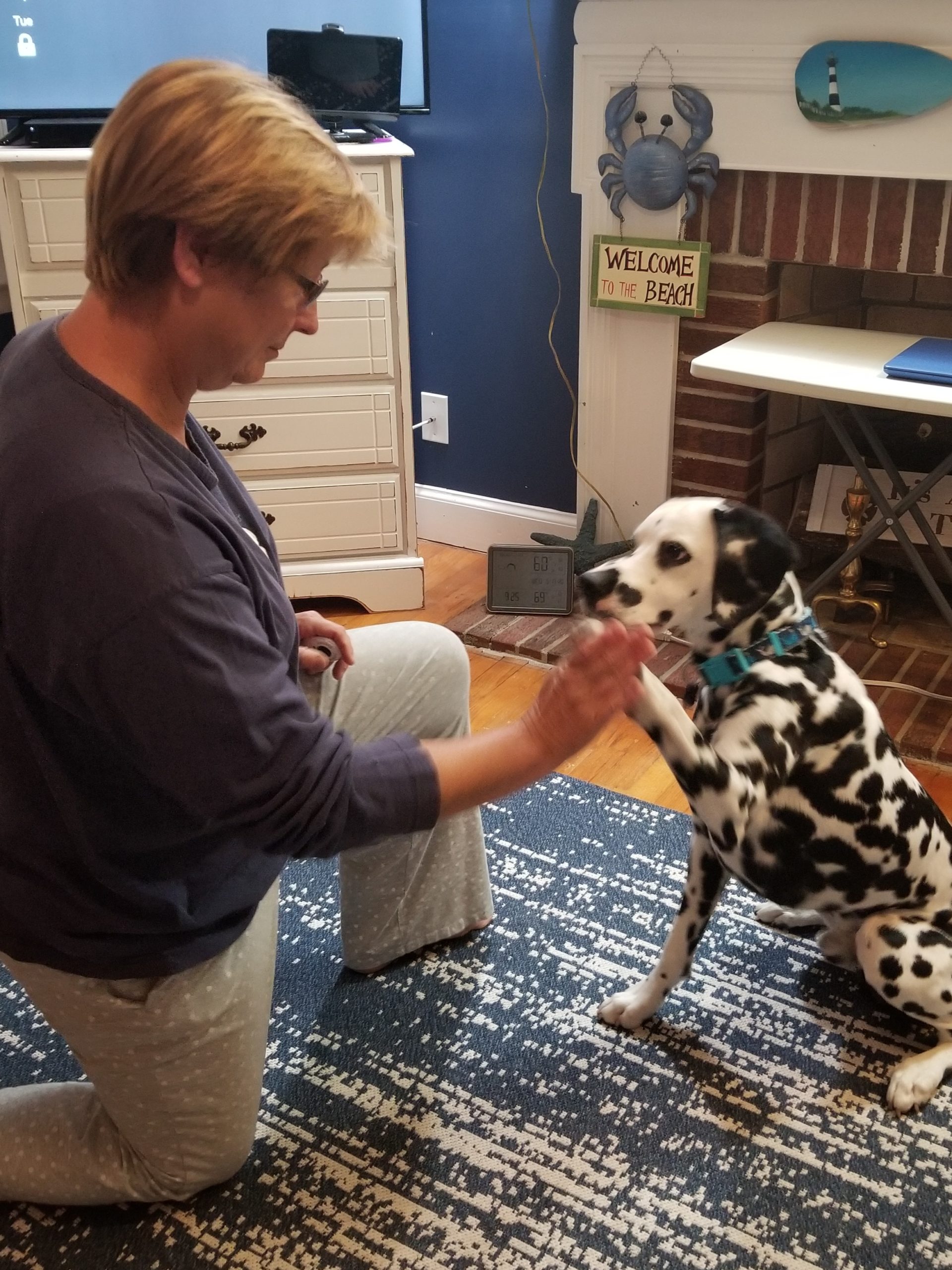 Contact force-free dog trainer Tina in Wilson NC - happy dog high-five training