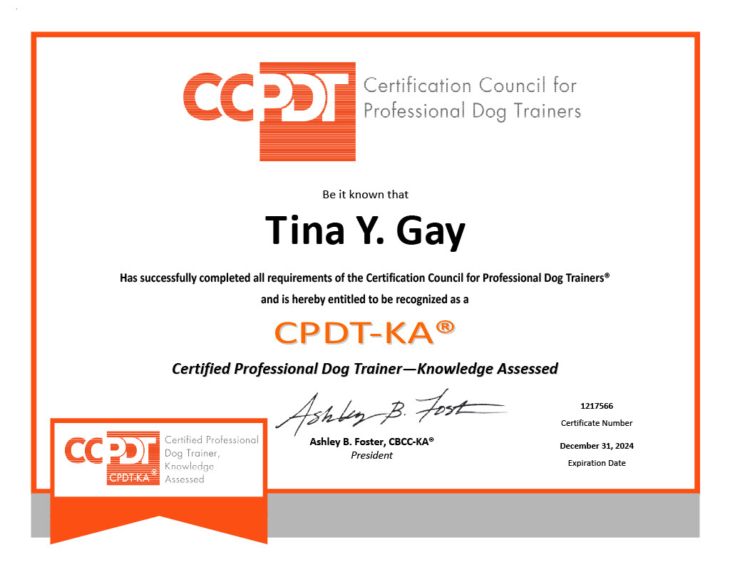 CPDT-KA certificate for certified dog trainer Wilson NC Tina Gay