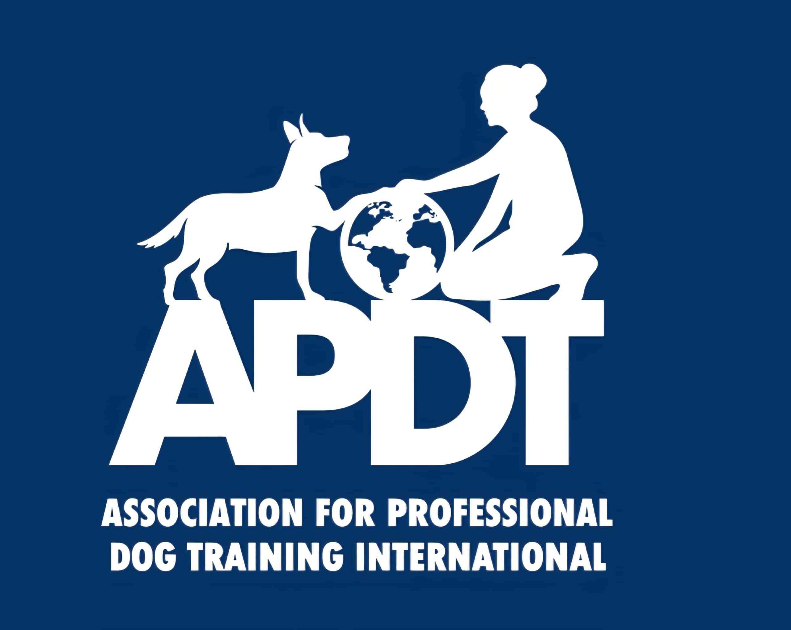 Certified trainer and dog during professional session - Spot On Dog Training