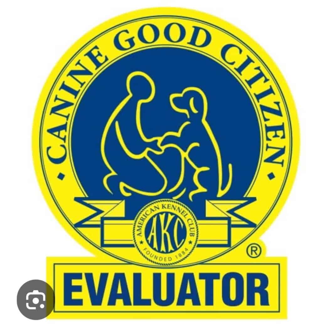 Professional dog trainer working with dog - Spot On Dog Training Wilson NC